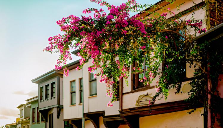 Günübirlik Bursa Doğa Macera Tarih ve Kültür Turu