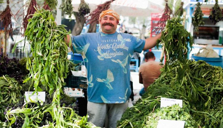 Alaçatı Ot Festivali Urla ve Şirinci Turu