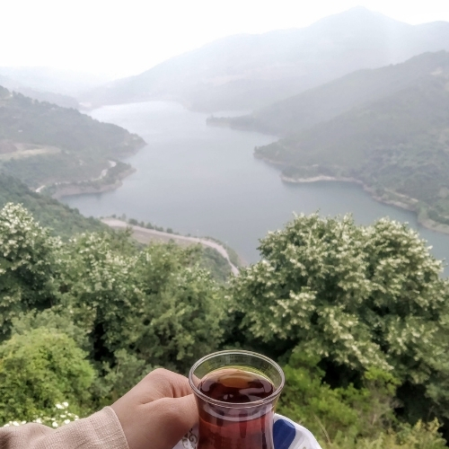 Günübirlik Maşukiye Turu