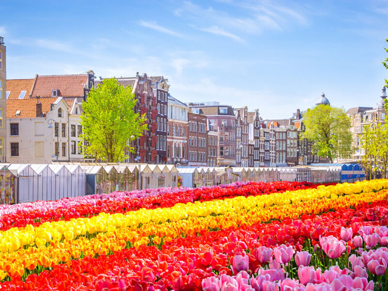 Comfort Amsterdam Turu Pegasus Hava Yolları ile 3 Gece AMS – AMS